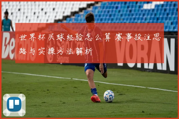 世界杯买球经验怎么算 赛事投注思路与实操方法解析