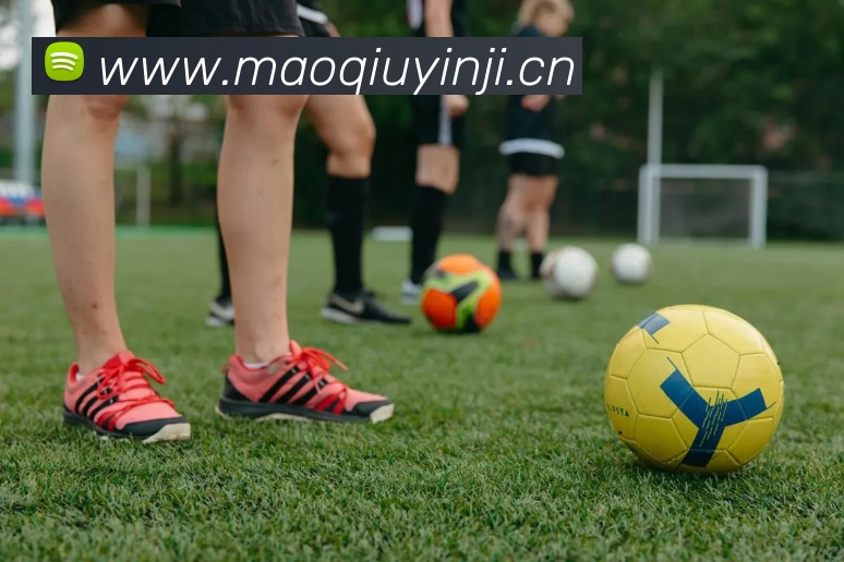 m6官网app入口··(中国)官方网站APP 封面图